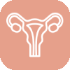 Uterus