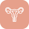 Uterus